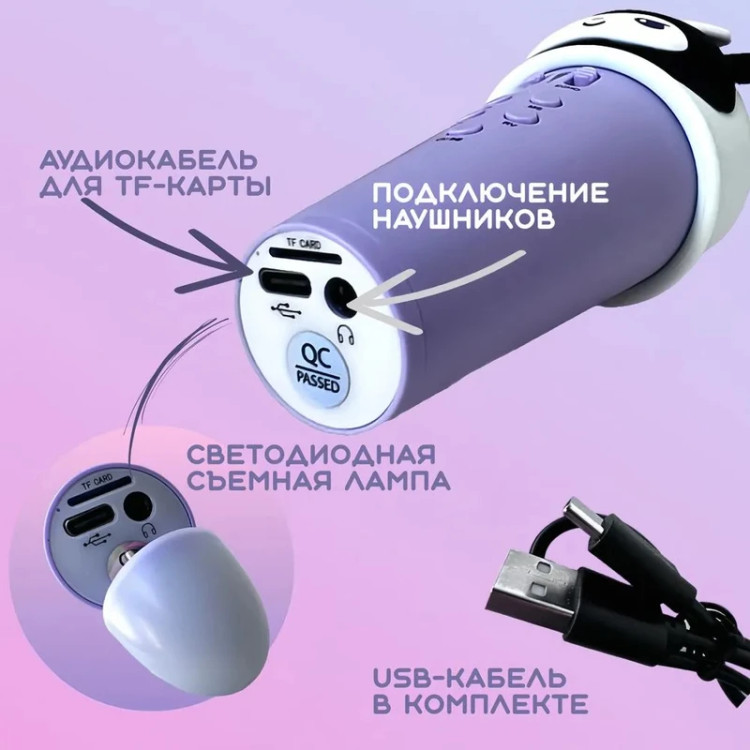 میکروفون اسپیکردار طرح ملودی شارژی